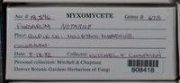 Image Associated With the Occurence